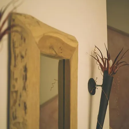 Villa-senta-apartment-14